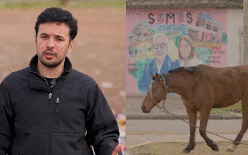 Caballos sueltos: Rovira lanzó una consulta vecinal para encontrar soluciones en Tigre