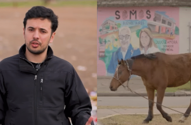 Caballos sueltos: Rovira lanzó una consulta vecinal para encontrar soluciones en Tigre