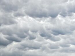 Clima en Tigre: cómo va a estar el pronóstico este finde