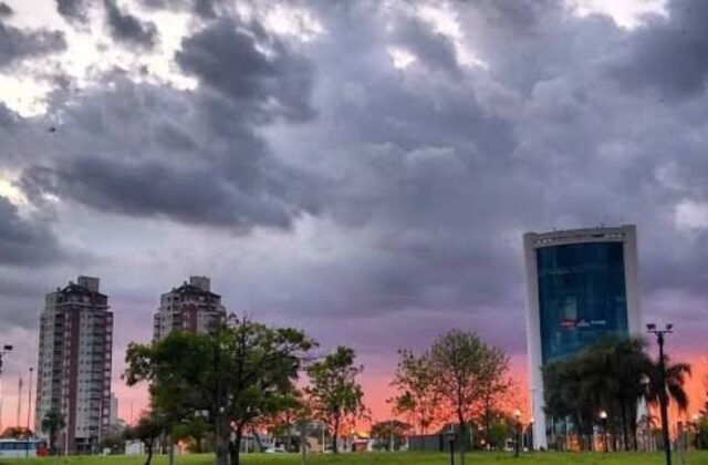 Cómo estará el clima en Tigre durante la semana